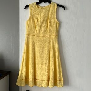 Size 4 Petite Calvin Klein Dress